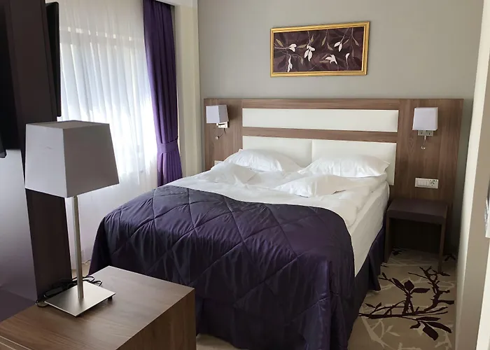 Hotell New Belvedere