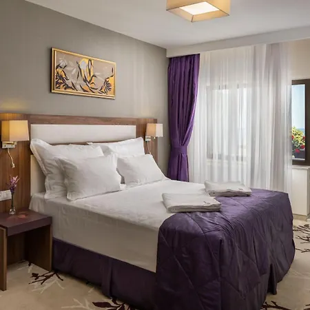Hotel New Belvedere